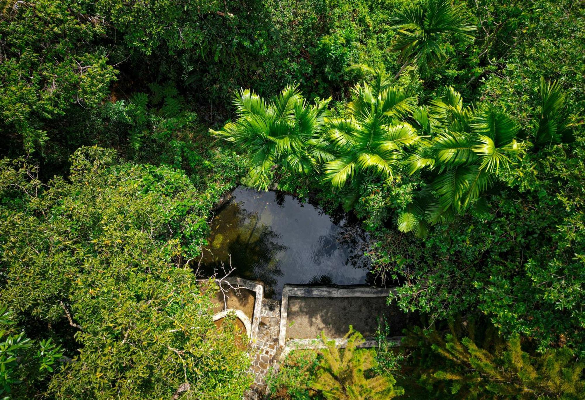 Singharaja Garden AGRO ECO Lodge Pelawatta  Exterior foto